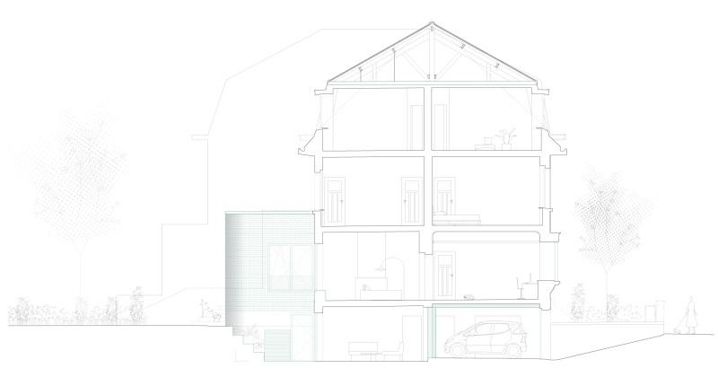 260305 PAVOTS coupes site internet