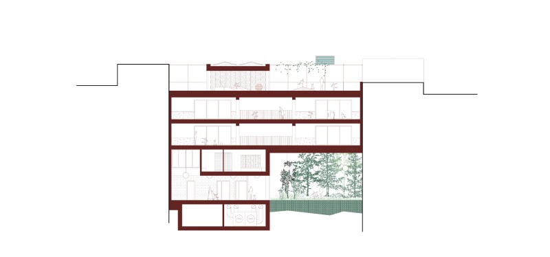 260309 JACQUET coupe3 site internet