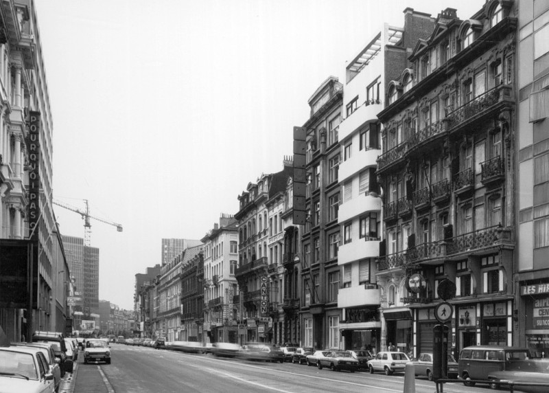 260305 WWF   archives site internet