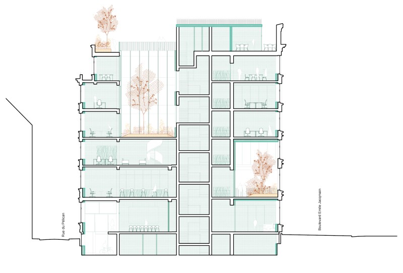 260305 WWF   coupes site internet