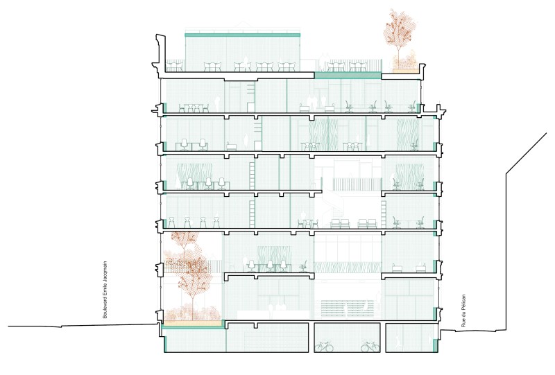 260305 WWF   coupes site internet2