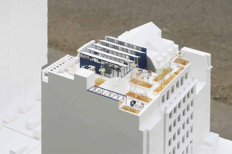 260305 WWF   MKT2   site internet