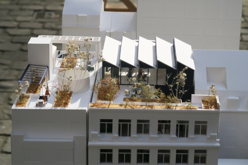 260305 WWF   MKT4   site internet