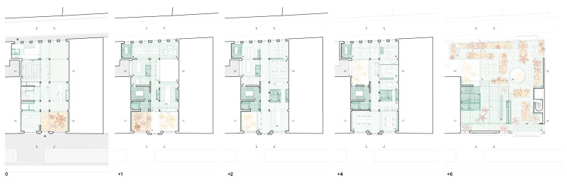 260305 WWF   site internet