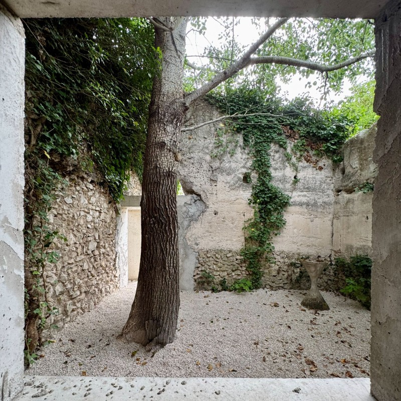 250707 Le Thor Photos Vincent Retouches Sur Iphone 45