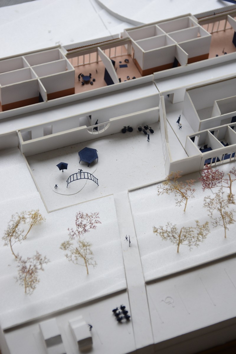 260309 COQ coll4 site internet