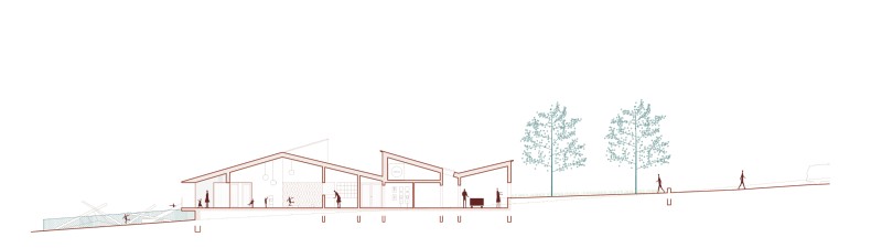 260309 COQ coupe2 site internet