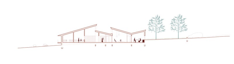 260309 COQ coupe3 site internet