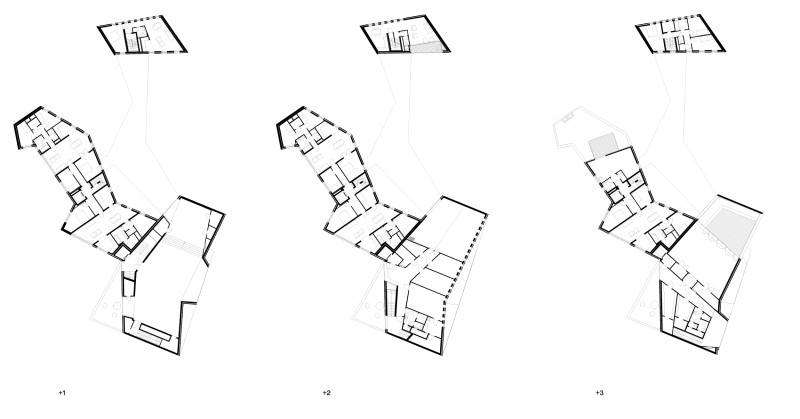 260306 CYGNES DIGUES ET site intrenet