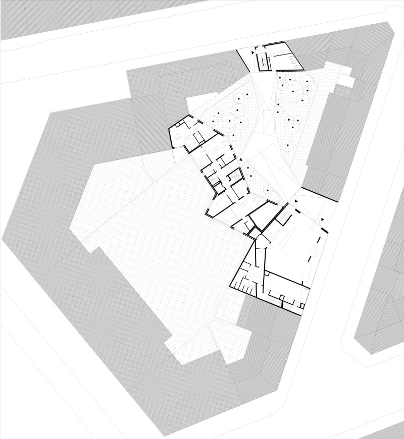 260306 CYGNES DIGUES REZ site intrenet